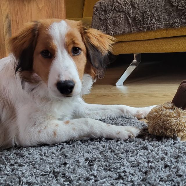 Foto von Rudi
