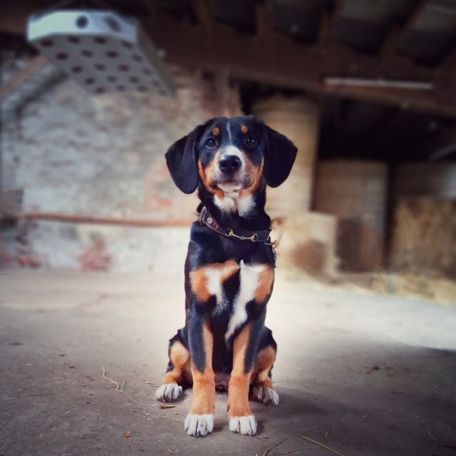 Foto von Tilda