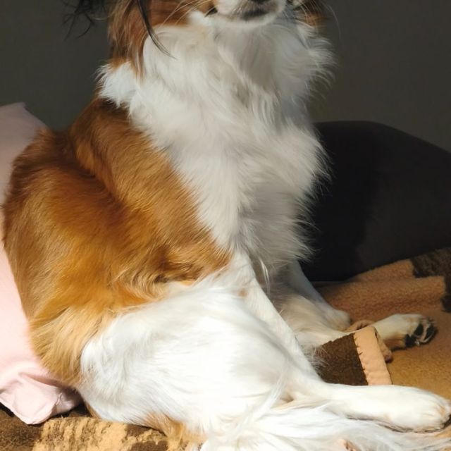 Foto von Charly