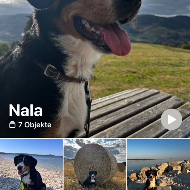 Foto von Nala