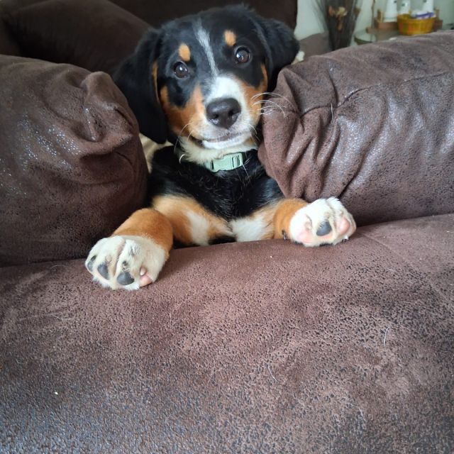 Foto von Tilda