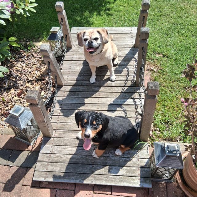 Foto von Tilda